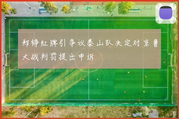 郑铮红牌引争议泰山队决定对京鲁大战判罚提出申诉