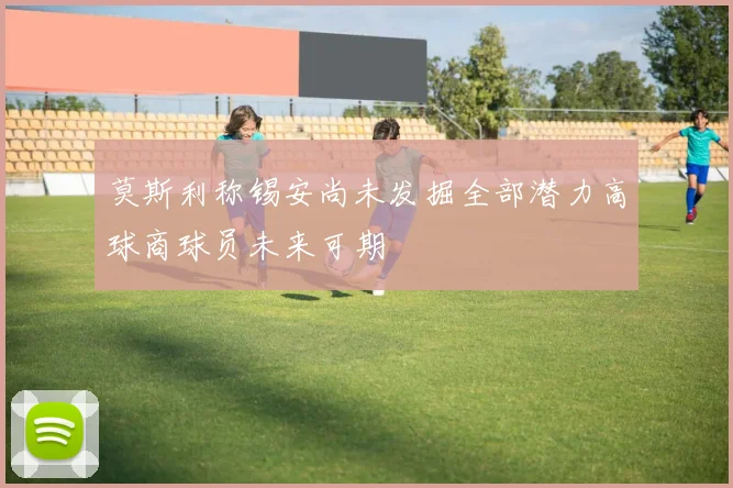 莫斯利称锡安尚未发掘全部潜力高球商球员未来可期